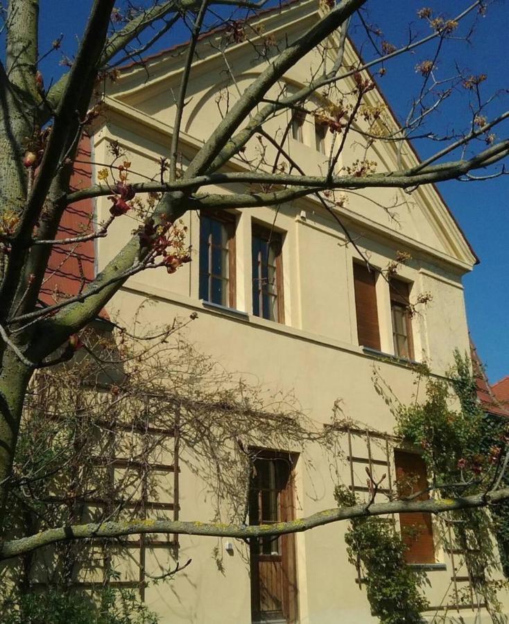 Haus Schmeile Магдебург Экстерьер фото